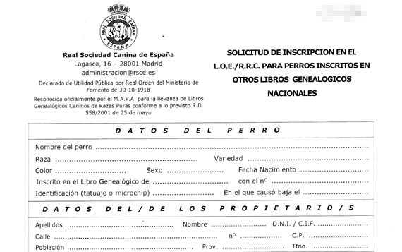 Inscripción en el R.R.C. de perros ya inscritos en otros libros genealógicos españoles