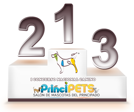 I Concurso Nacional Canino Principets 2013 (Avilés) - Resultados