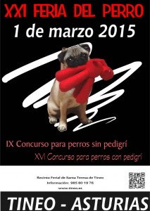 cartel_tineo_2015