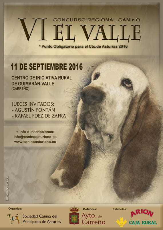 cartel_elvalle_2016
