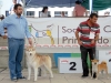DSC_4565