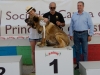 DSC_4790veterana