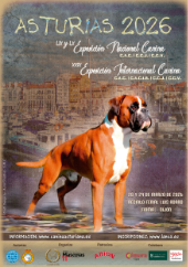 Exposiciones Nacionales e Internacional de Asturias 2026